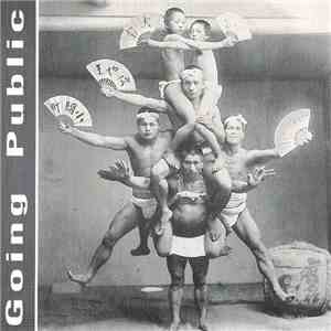 Going Public  - She Must Be Seeing Things