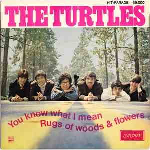 The Turtles - You Know What I Mean / Rugs Of Woods & Flowers