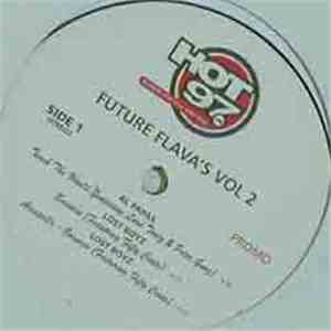 Various - Future Flava's Vol. 2