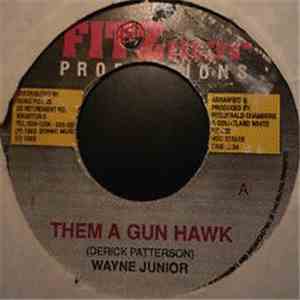 Wayne Junior - Them A Gun Hawk