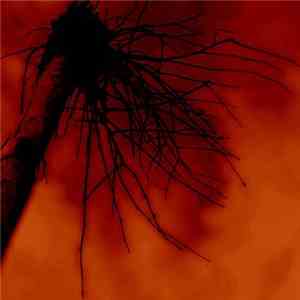 Radio Salva - Low Frequency
