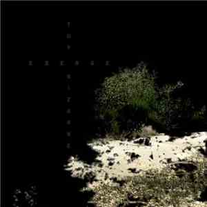 toy.bizarre / Emerge - toy.bizarre / Emerge