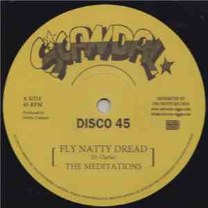 The Meditations - Fly Natty Dread / Justice