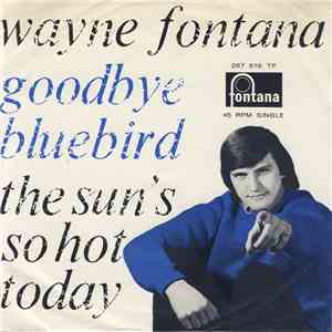 Wayne Fontana - Goodbye Bluebird