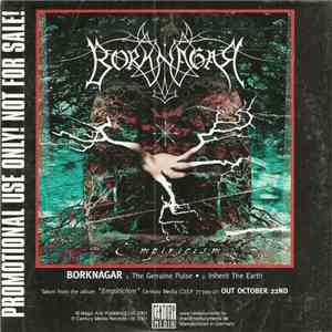Borknagar / Novembre - Borknagar / Novembre