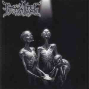 Dismal Lapse - The Nameless Faceless
