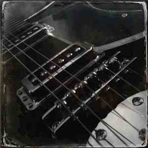 Lotus Feed - Gig​-​Starters