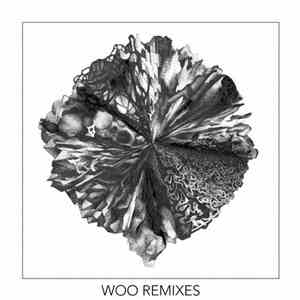 Monkey Safari - Woo Remixes