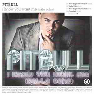 Pitbull / Sharam Feat. Kid Cudi - I Know You Want Me (Calle Ocho) / She Came Along
