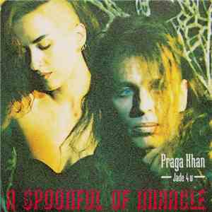 Praga Khan & Jade 4 U - A Spoonful Of Miracle