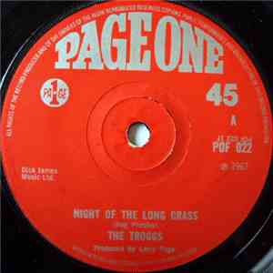 The Troggs - Night Of The Long Grass