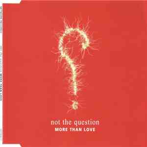 Not The Question - More Than Love