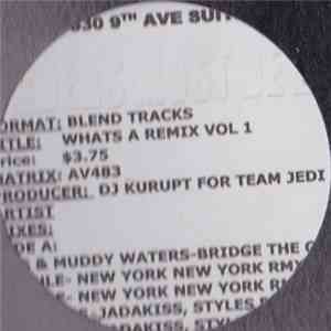 DJ Kurupt - Presents "What's A Remix?"