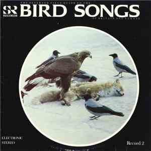 No Artist - The Peterson Field Guide To The Bird Songs Of Britain And Europe (Record 2)