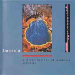 Amnesia  - A Brief History Of Amnesia 2056 - 2068