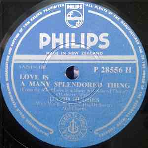 David Hughes  - Love Is A Many Splendored Thing / True Love