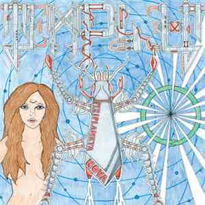 Temples  - Periplaneta Nova