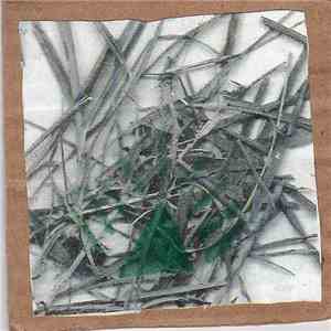 Treetops - Sandy Floors