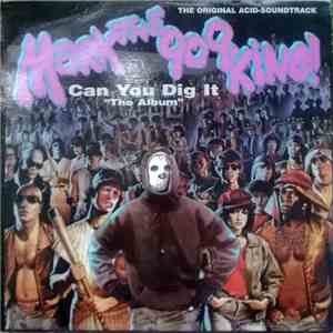 Mark The 909 King - Can You Dig It (The Original Acid-Soundtrack)