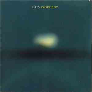 Nits - Ivory Boy