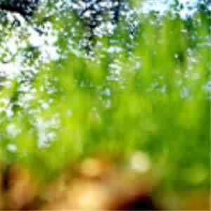 Stephen Vitiello & Pauline Oliveros - Minutes After Frogs