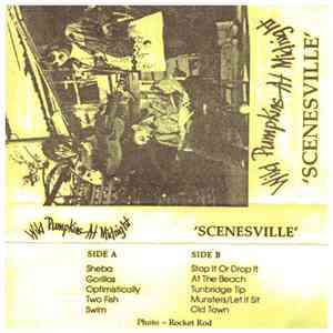 Wild Pumpkins At Midnight - Scenesville