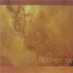 Steve Brand - Because We Were Once Covered In Gold