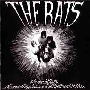 The Rats  - The Rise And Fall Of Bernie Gripplestone And The Rats From Hull