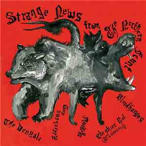 Various, The Denyals, Gun Addiction, Blindhorses, Mookills, Cheshire Cat (The Bouncing) - Strange News From The Northern Front