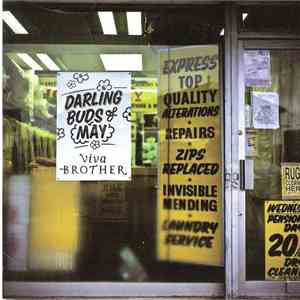 Viva Brother - Darling Buds Of May