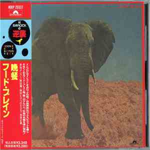 Food Brain - Social Gathering (晩餐)