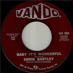 Chris Bartley - Baby, It's Wonderful