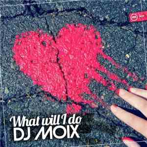 DJ Moix - What Will I Do
