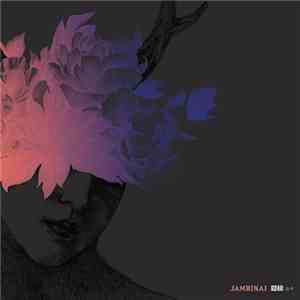 Jambinai - A Hermitage (隱棲은서)