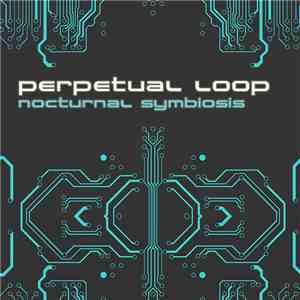 Perpetual Loop - Nocturnal Symbiosis