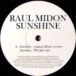 Raul Midón - Sunshine