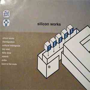 Tesox - Silicon Works