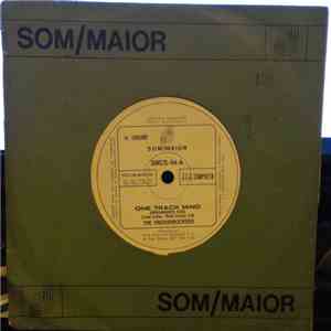 The Knickerbockers - One Track Mind / I Must Be Doing Something Right