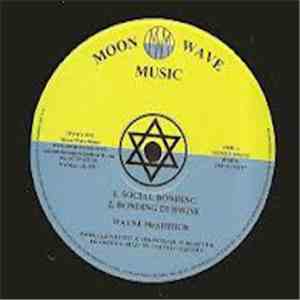 Wayne McArthur - Social Bonding / Natural Forces