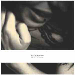 Birds In Row - You, Me & The Violence