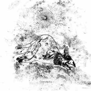 Constrito - Constrito