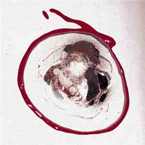 Armchair Migraine Journey - Red Revengers Reflect