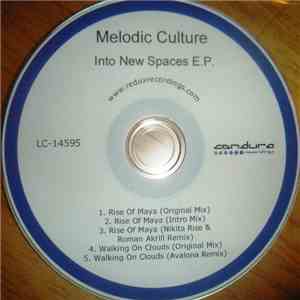 Melodic Culture - Into New Spaces E.P.