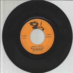The Dutch Rhythm Steel & Showband - January, February / What You Gonna Do About It