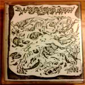 Windbreed - Live Demo 94