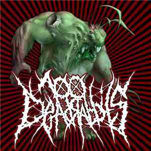 100DEADRABBITS - Compilation