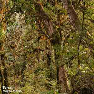 Magda Mayas - Terrain