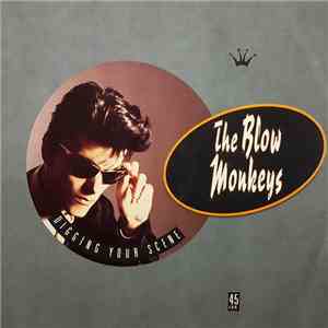 The Blow Monkeys - Digging Your Scene
