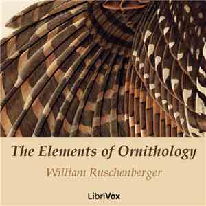 William Ruschenberger - The Elements Of Ornithology