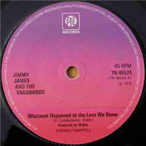 Jimmy James And The Vagabonds - Whatever Happened To The Love We Knew